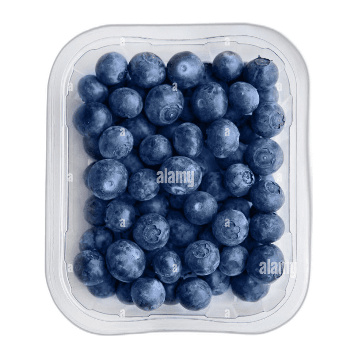 Blueberries Tray