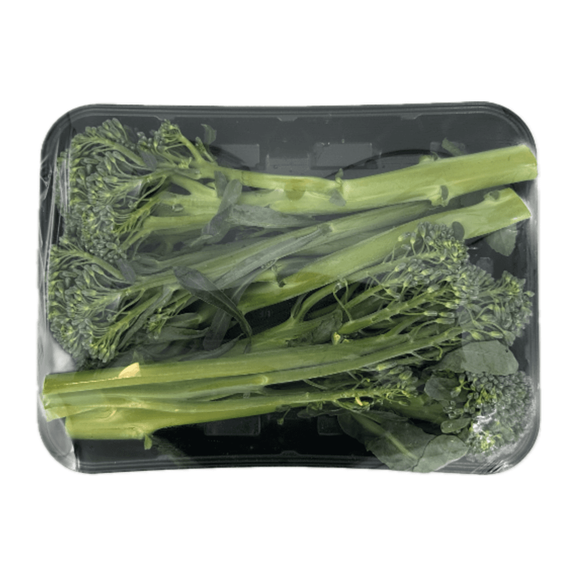 Baby Broccoli Tray
