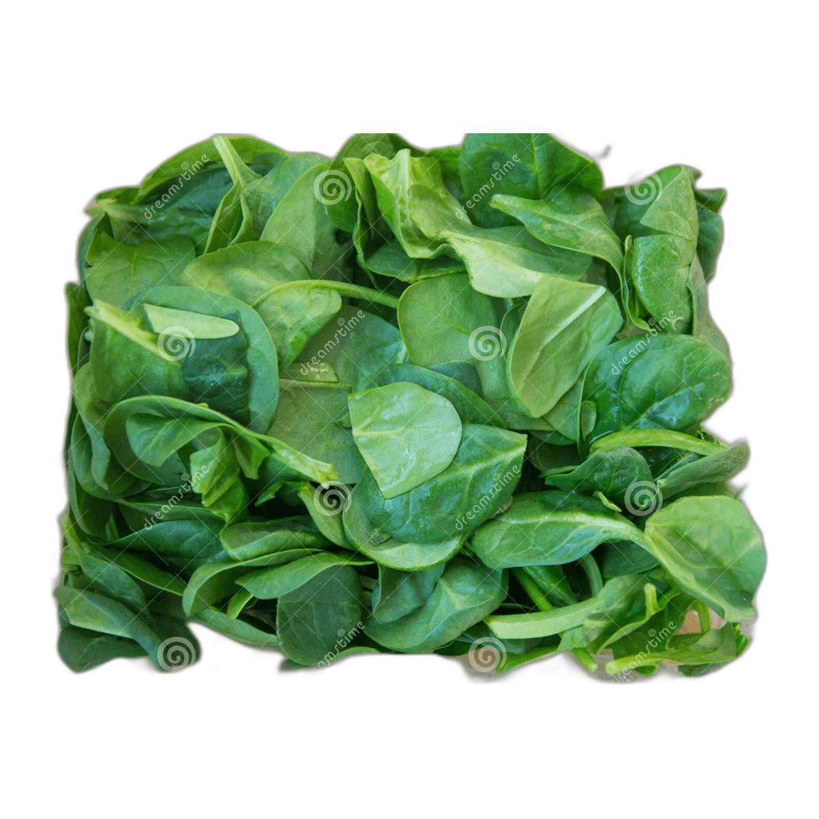 Baby Leaves Spinach Tray