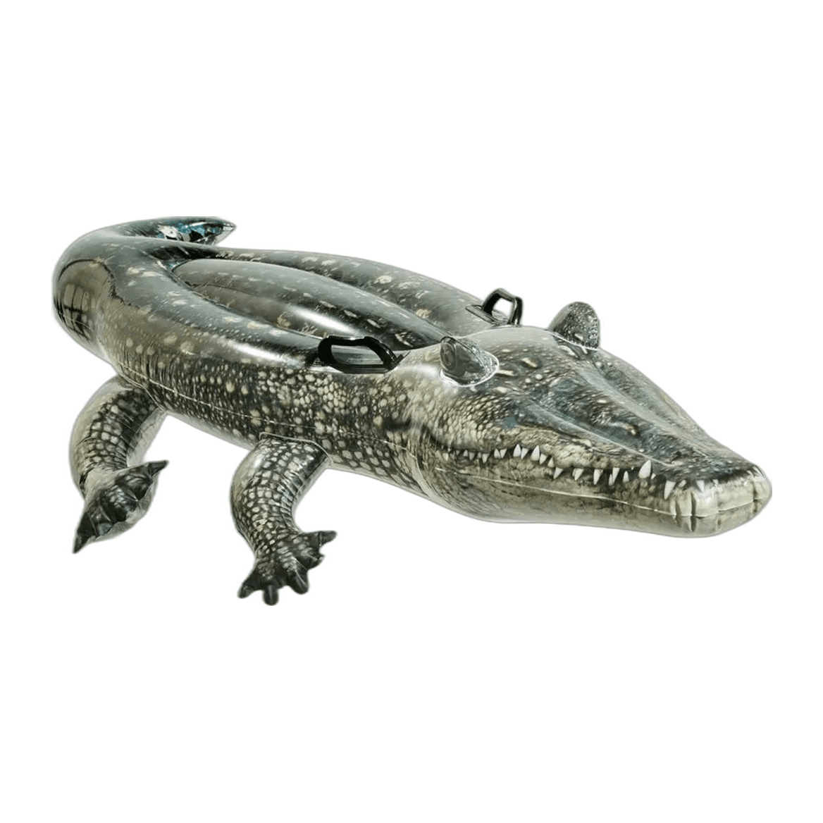 Alligator À Chevaucher Gonflable