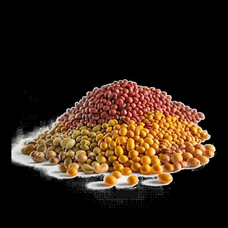 24Mantra, Garam Masala 50g