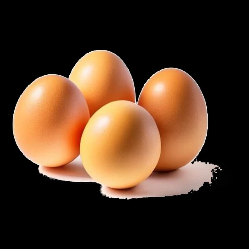 Cocotine, Egg Bites Cheddar & Bacon, 520g