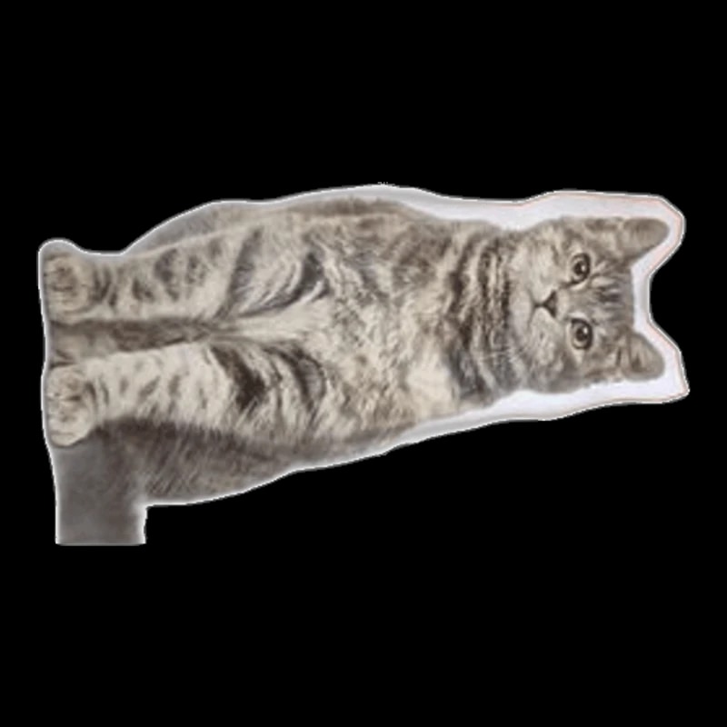 Belle France, Chat Adulte Poulet, 2Kg