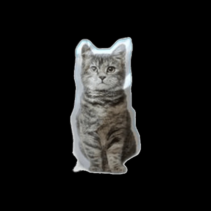 Belle France, Chat Adulte Sau/Thon, 2Kg