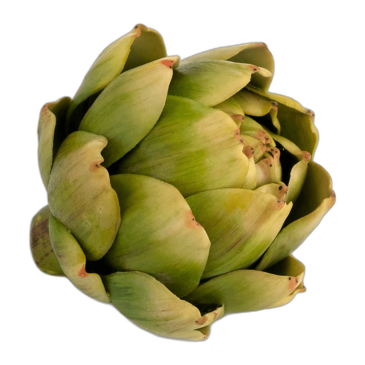 Artichoke Green Piece