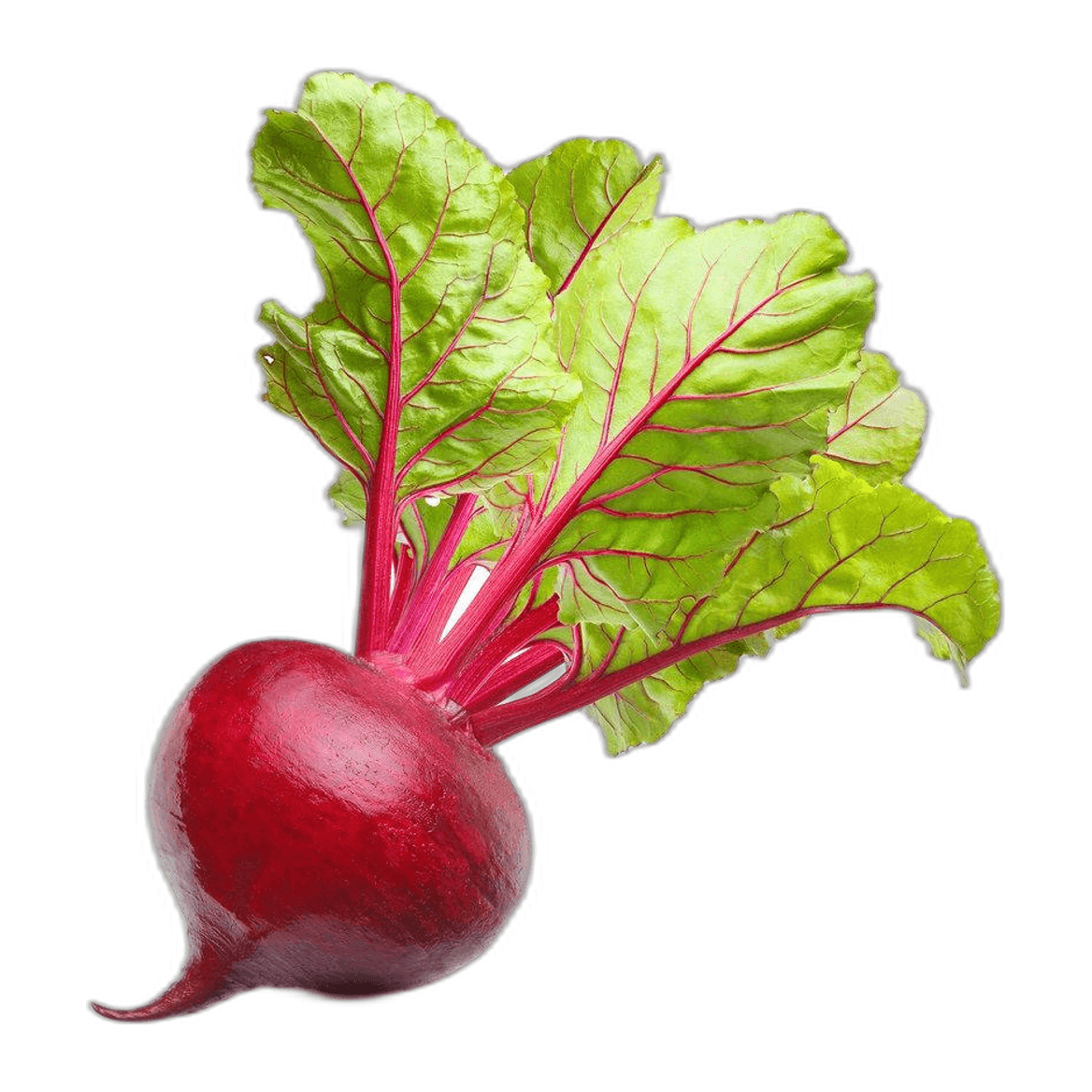 Beetroot Piece