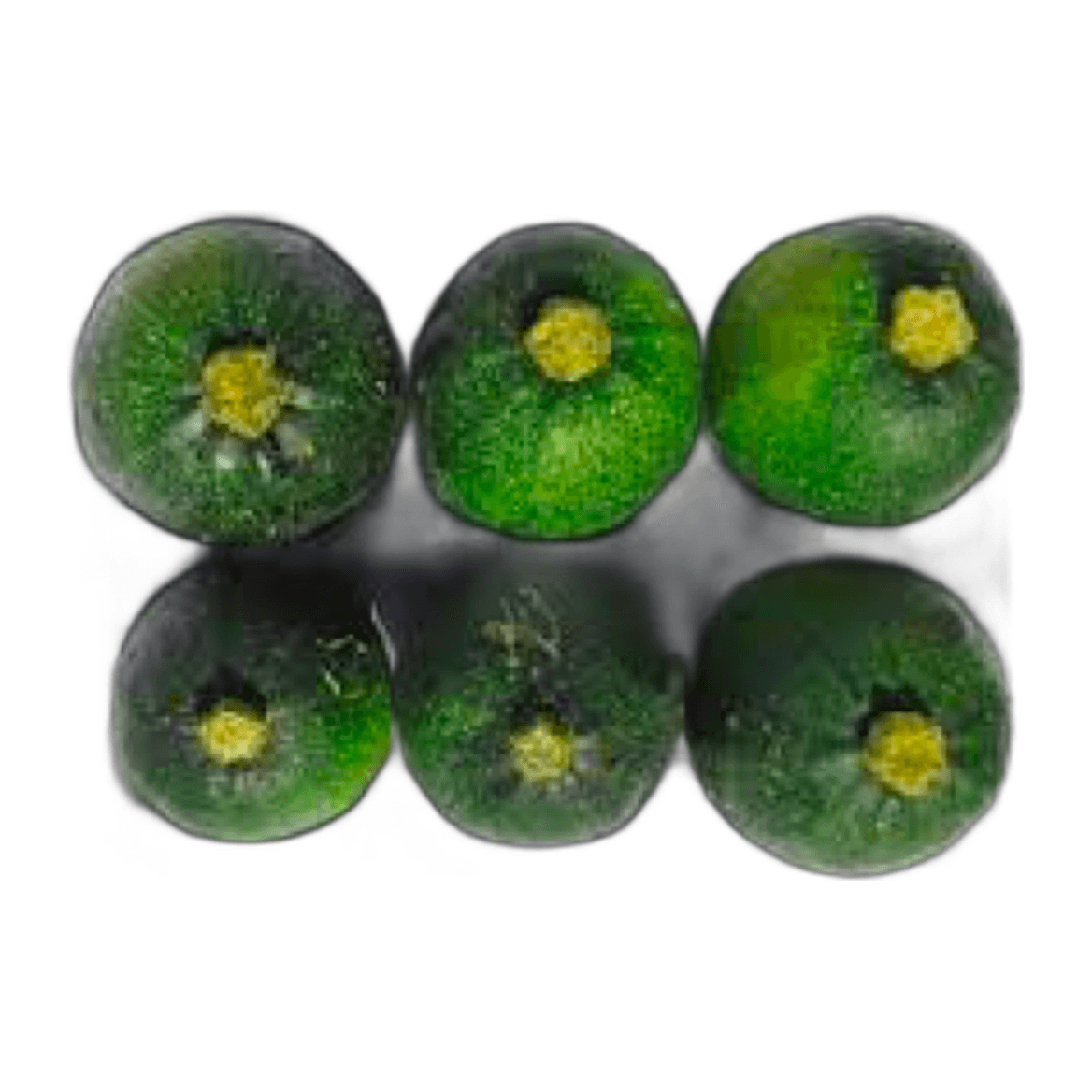 Baby Gem Squash Tray